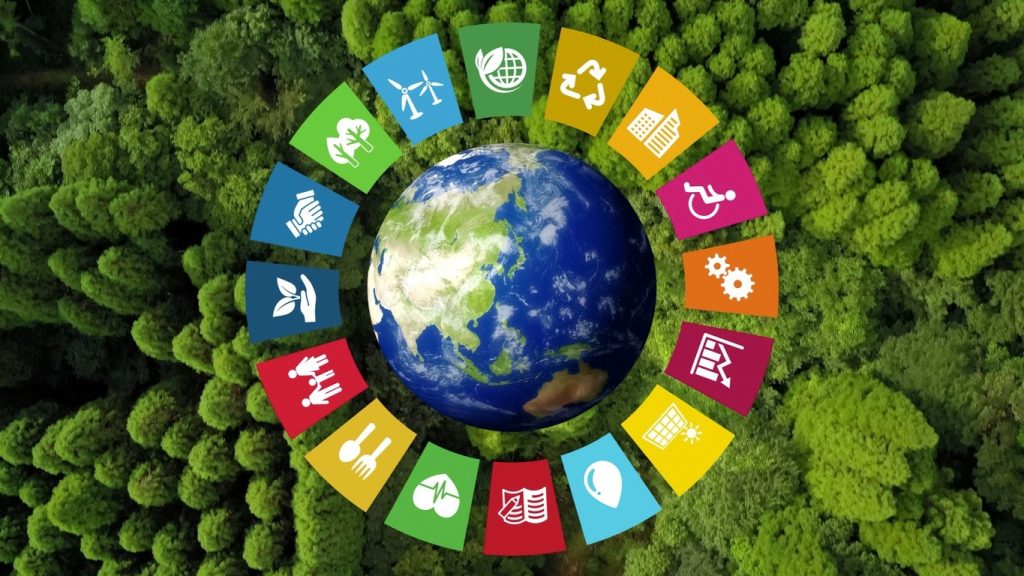 Considerazioni Ecologiche e Sostenibilità