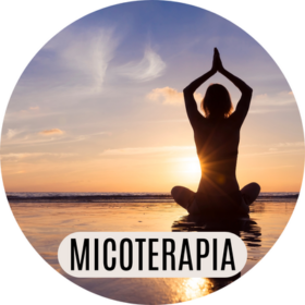 funghi medicinali